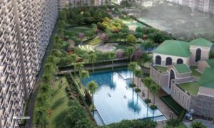 Pious Orchards Swimming2